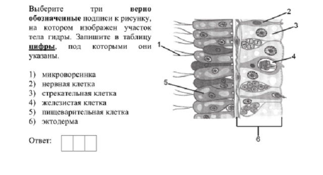 Регистрация на кракен