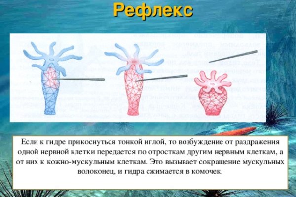 Оригинальные ссылки кракена